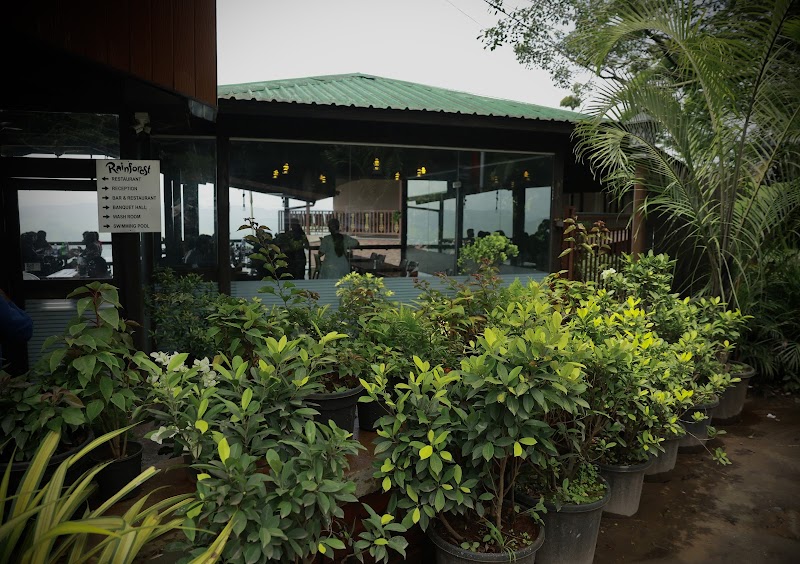 Hotel Rainforest