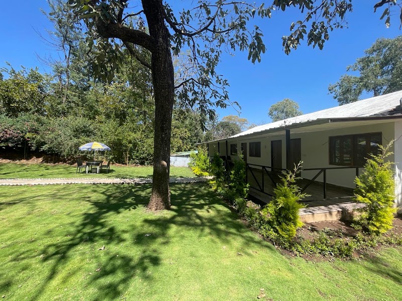 Ark Residency