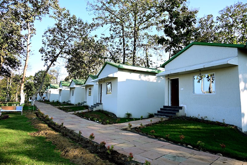 The Golden Woods Resort
