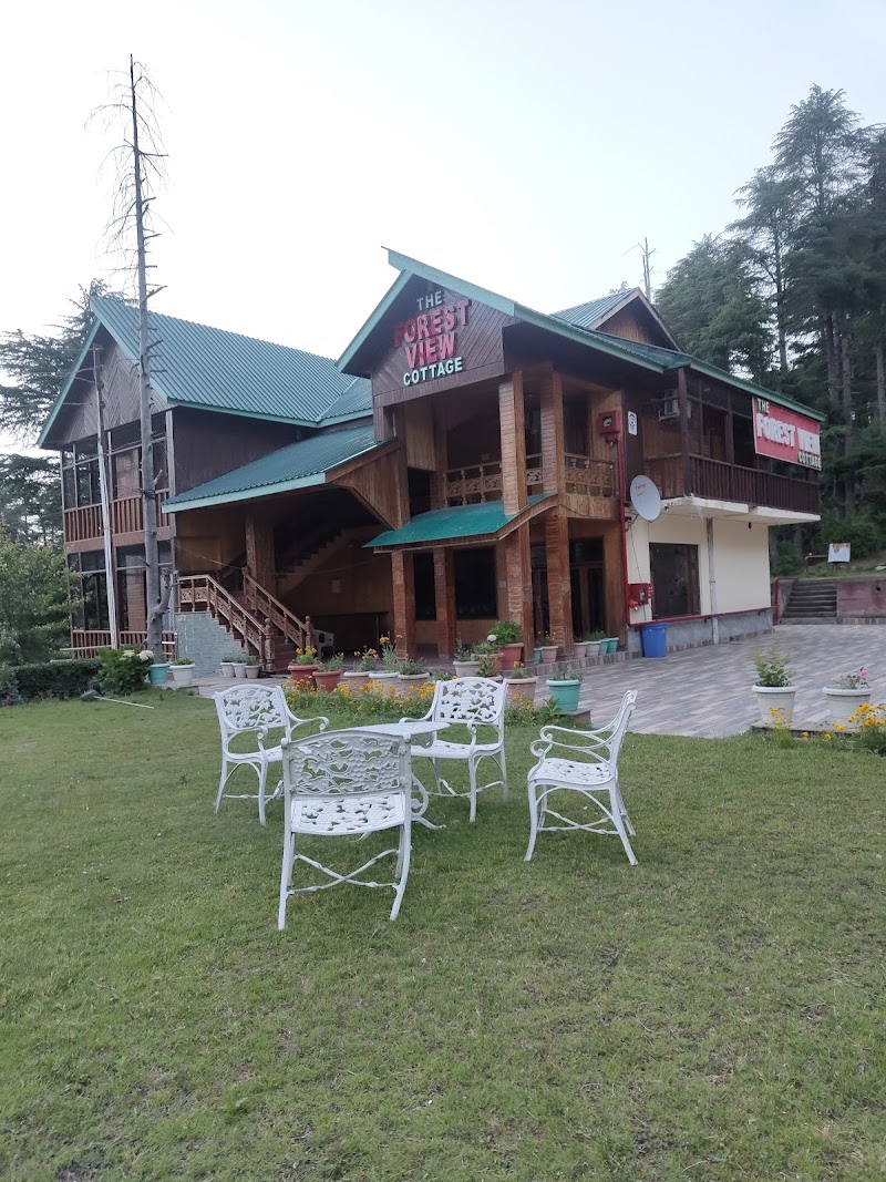 hotel forest view