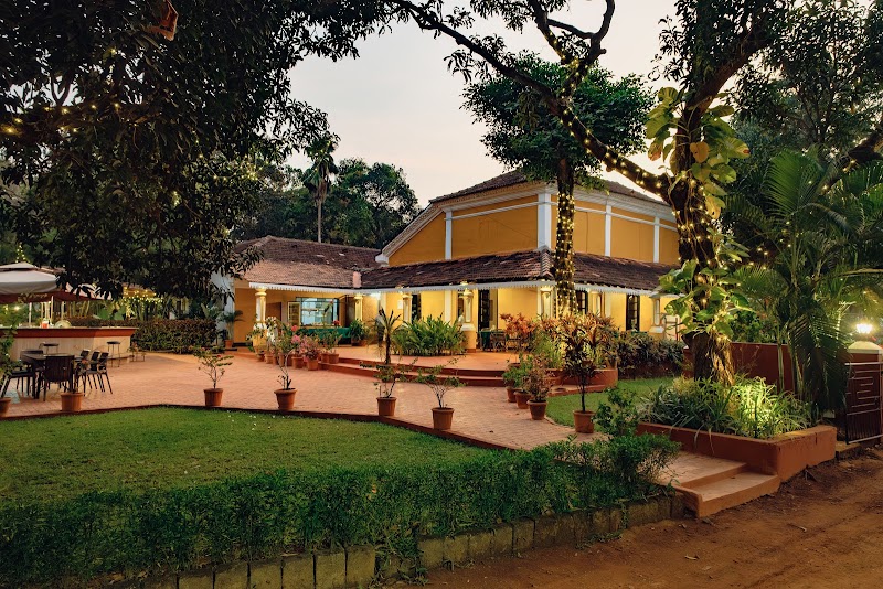Granpa's Inn Hotel Bougainvillea